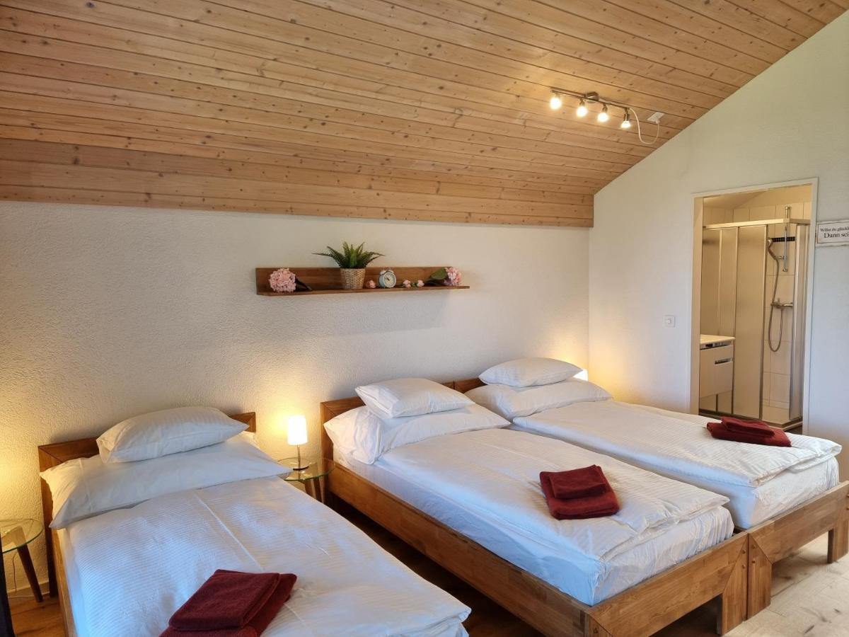 Seeparadiesli Am Schoenen Thunersee Darligen Ngoại thất bức ảnh